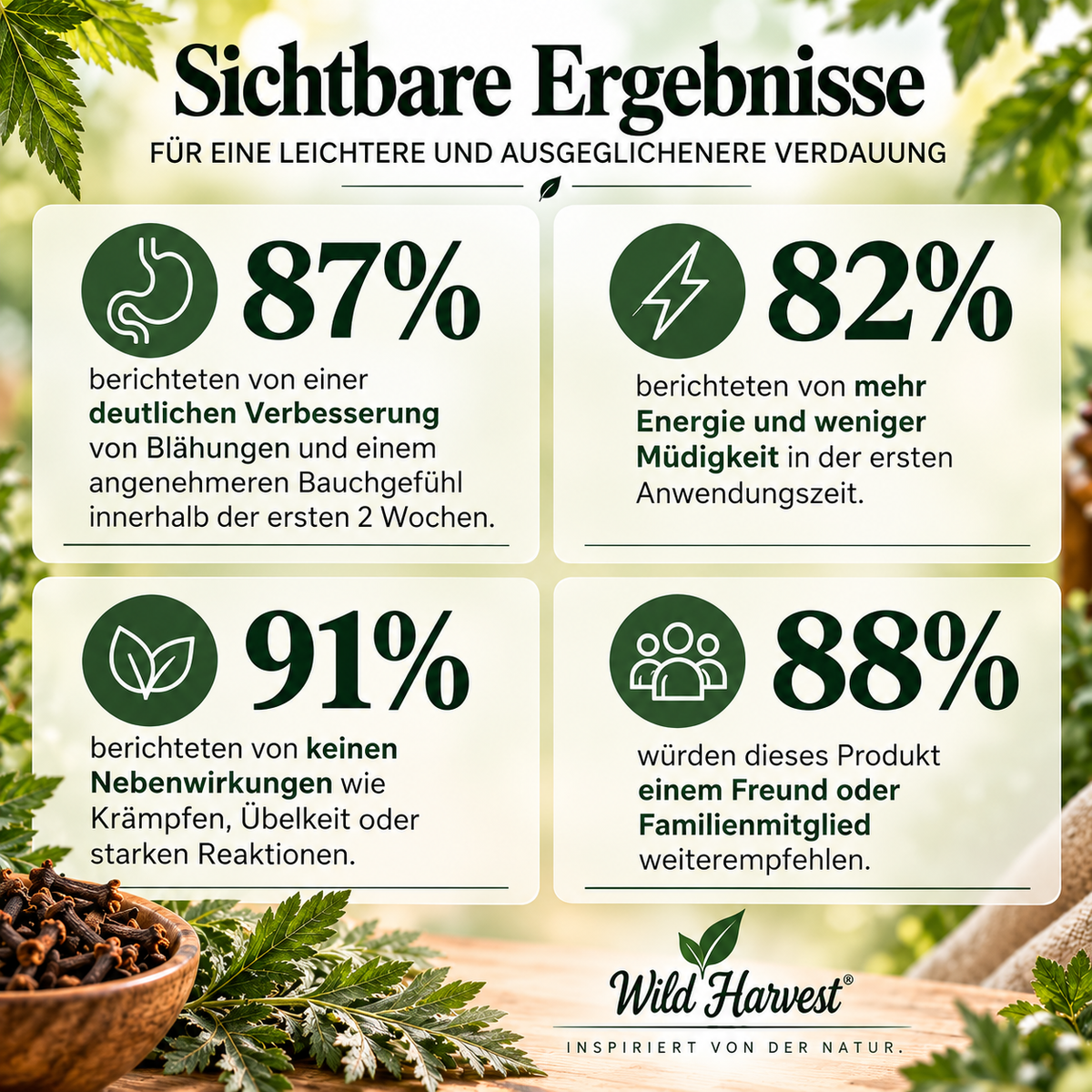Wermut & Nelken Tropfen mit Fulvinsäure & Spurenelementen – 2-Stufen-Kräuterkomplex, 2 × 30 ml