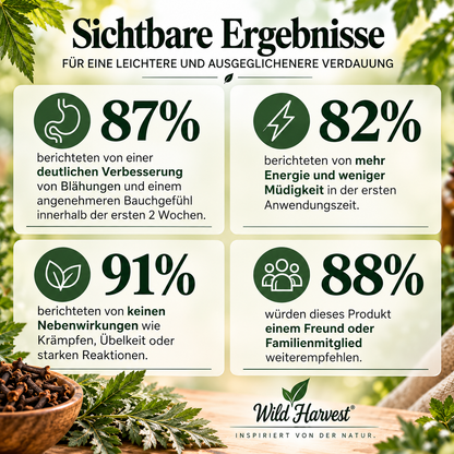 Wermut & Nelken Tropfen mit Fulvinsäure & Spurenelementen – 2-Stufen-Kräuterkomplex, 2 × 30 ml