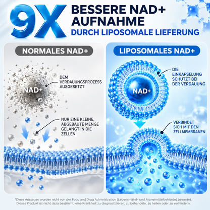 Liposomales NAD+ Männer-Komplex 1000 mg – Mit Zink, Q10 & Resveratrol – 60 Kapseln