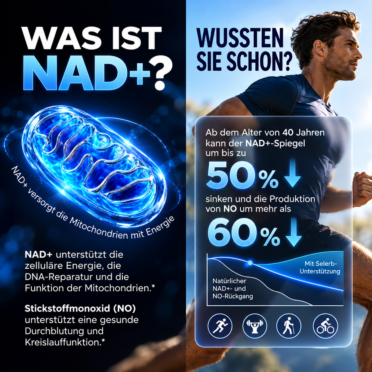 Liposomales NAD+ Männer-Komplex 1000 mg – Mit Zink, Q10 & Resveratrol – 60 Kapseln